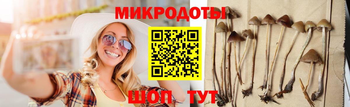 закладки  Галлюциногенные грибы MAGIC MUSHROOMS  Вход с VPN  Сочи 