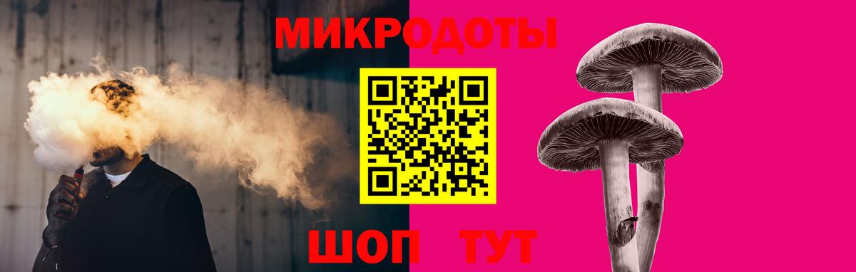 Псилоцибиновые грибы Psilocybe Сочи