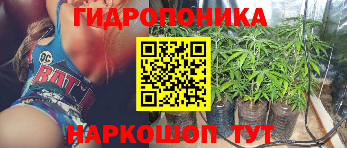 Конопля конопля Сочи